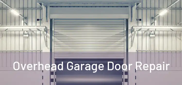  Overhead Garage Door Repair 